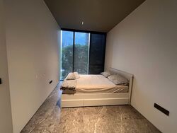 Cuscaden Reserve (D10), Condominium #558152461
